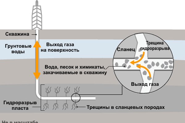 Гидра и кракен