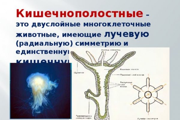 Через какой браузер зайти на кракен