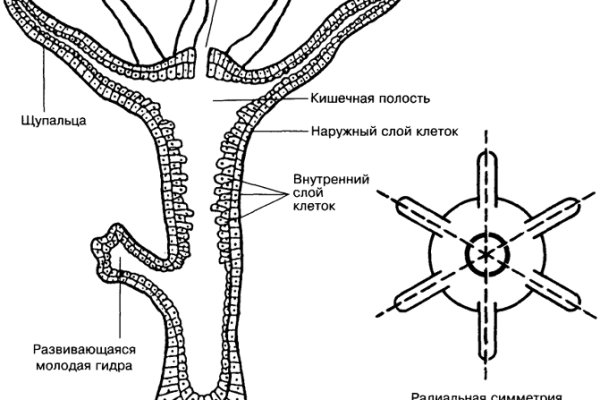 Сайт krn